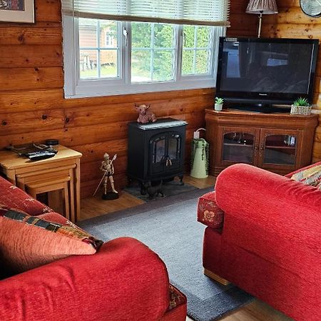 Snowdonia National Park Log Cabin With Garden Trawsfynydd Luaran gambar
