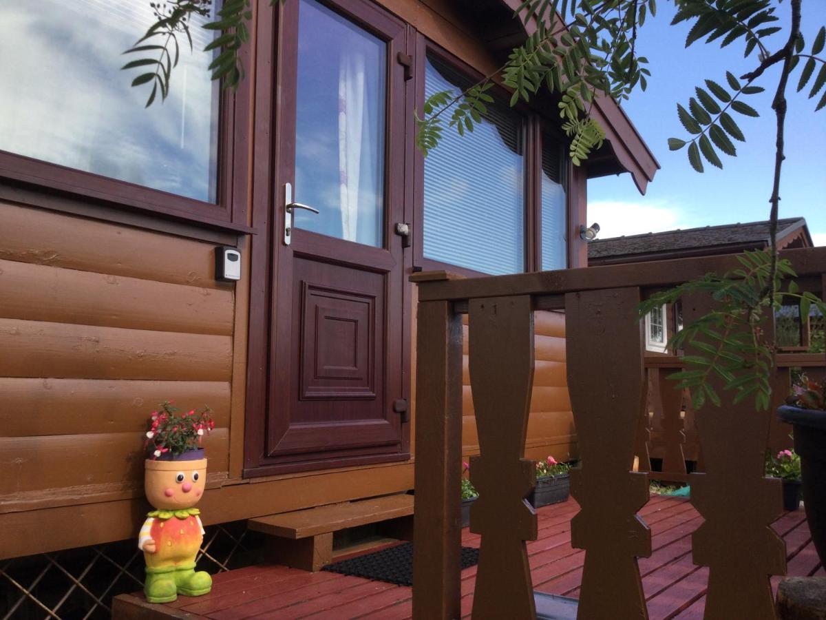 Snowdonia National Park Log Cabin With Garden Trawsfynydd Luaran gambar