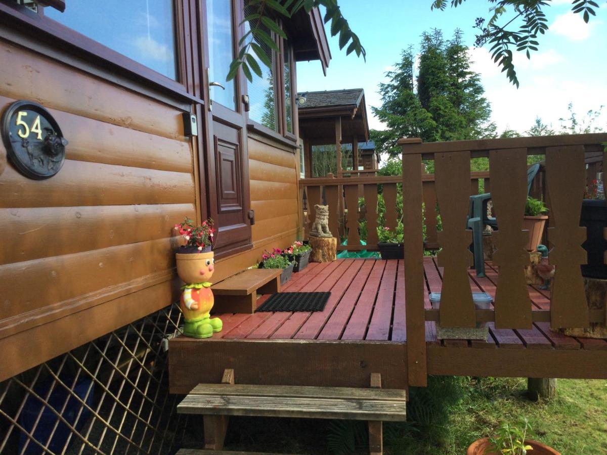 Snowdonia National Park Log Cabin With Garden Trawsfynydd Luaran gambar