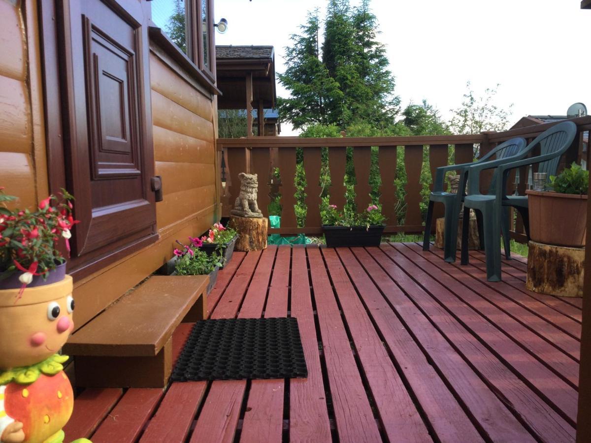 Snowdonia National Park Log Cabin With Garden Trawsfynydd Luaran gambar